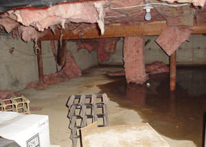 fiberglass insulation dripping off the ceiling of a crawl space in Citrus Heights.