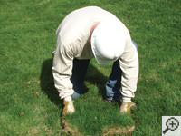 Restoring the landscaping by replacing removed sod on the ground for a Napa home.