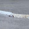 Slab floor cracks showing in a Fair Oaks home